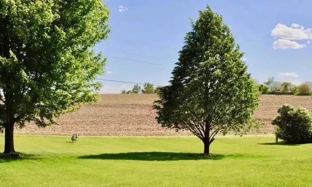 植樹節(jié)|守護(hù)綠色家園的秘密武器！