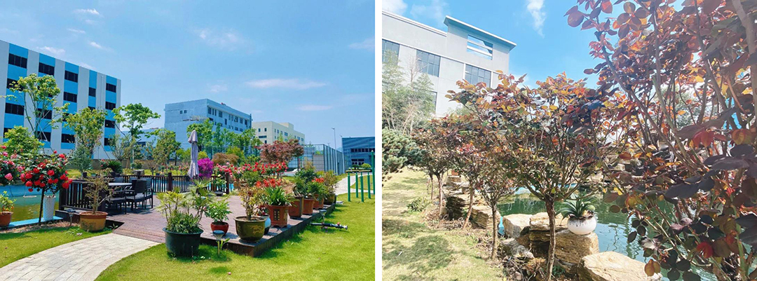 植樹節(jié)|守護(hù)綠色家園的秘密武器！