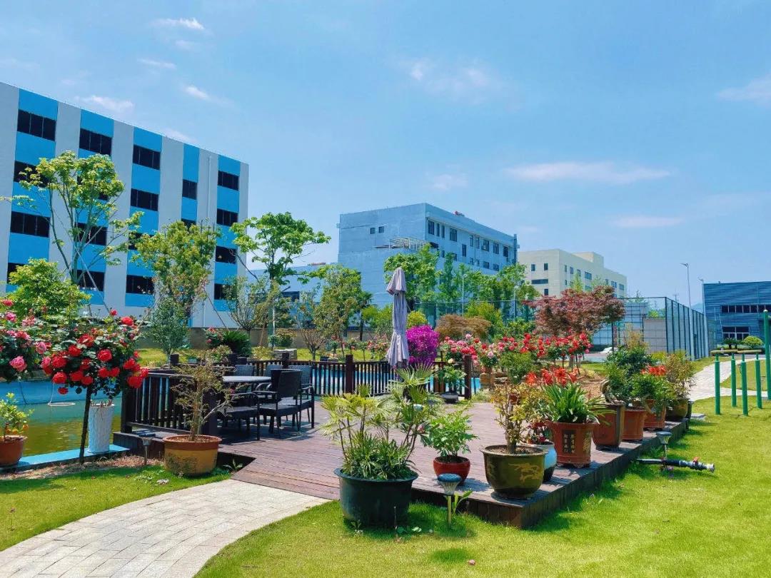 風(fēng)景這邊獨(dú)好！東大環(huán)境美景一覽，請(qǐng)查收