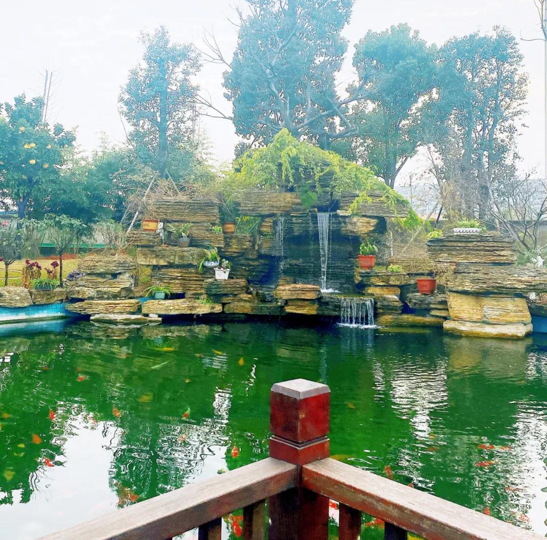 風(fēng)景這邊獨(dú)好！東大環(huán)境美景一覽，請(qǐng)查收