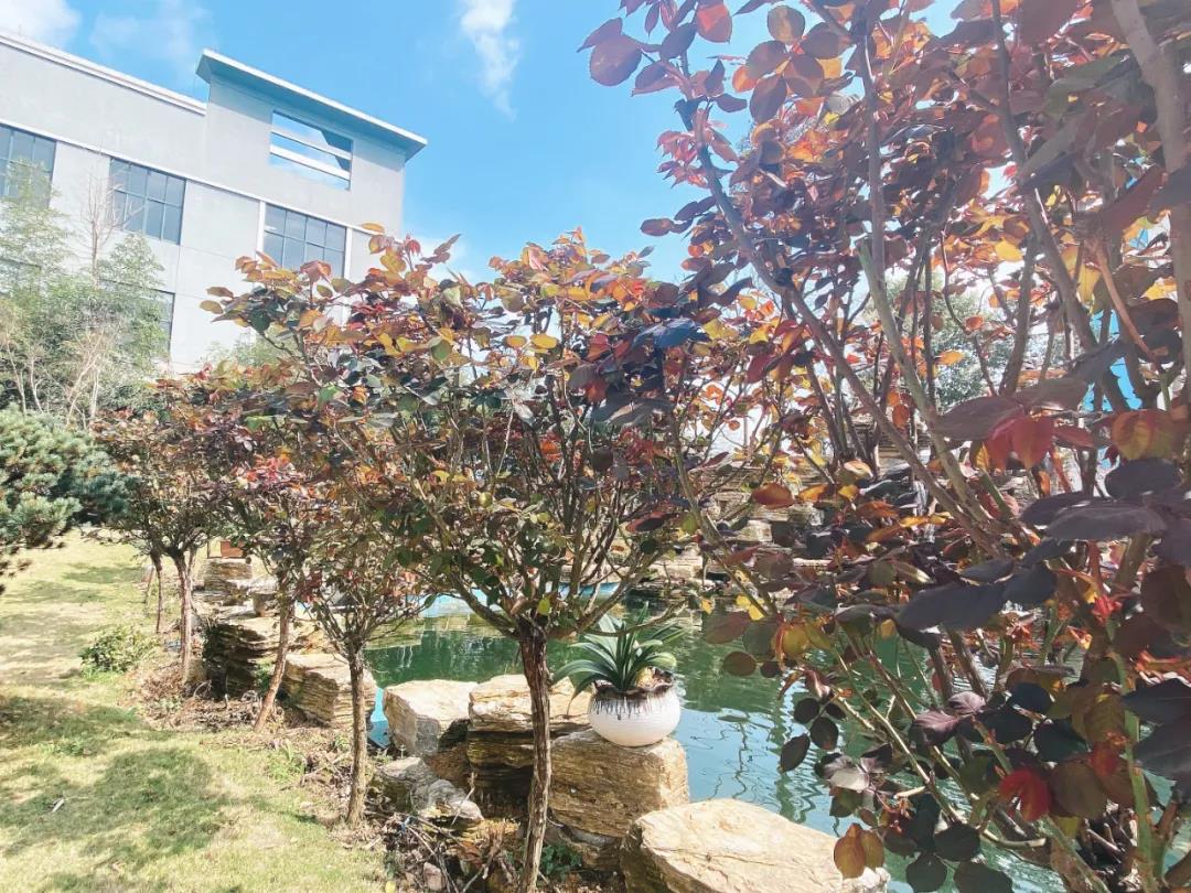 風(fēng)景這邊獨(dú)好！東大環(huán)境美景一覽，請(qǐng)查收