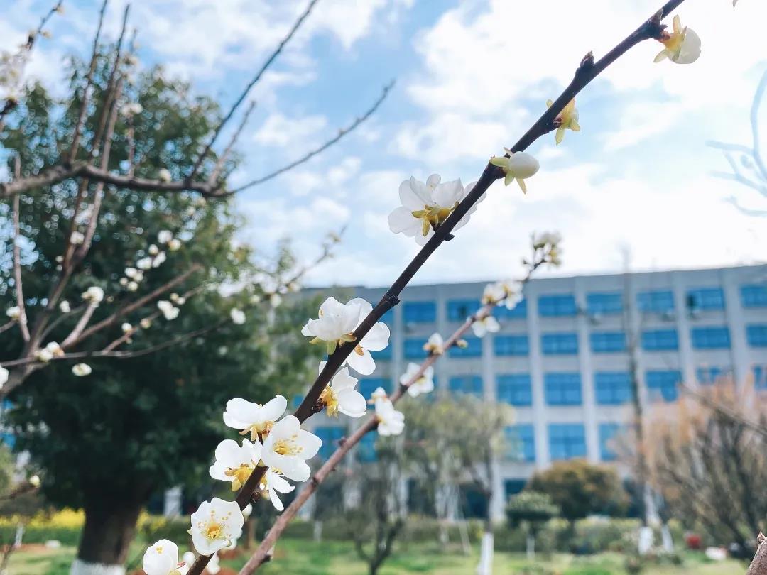 風(fēng)景這邊獨(dú)好！東大環(huán)境美景一覽，請(qǐng)查收