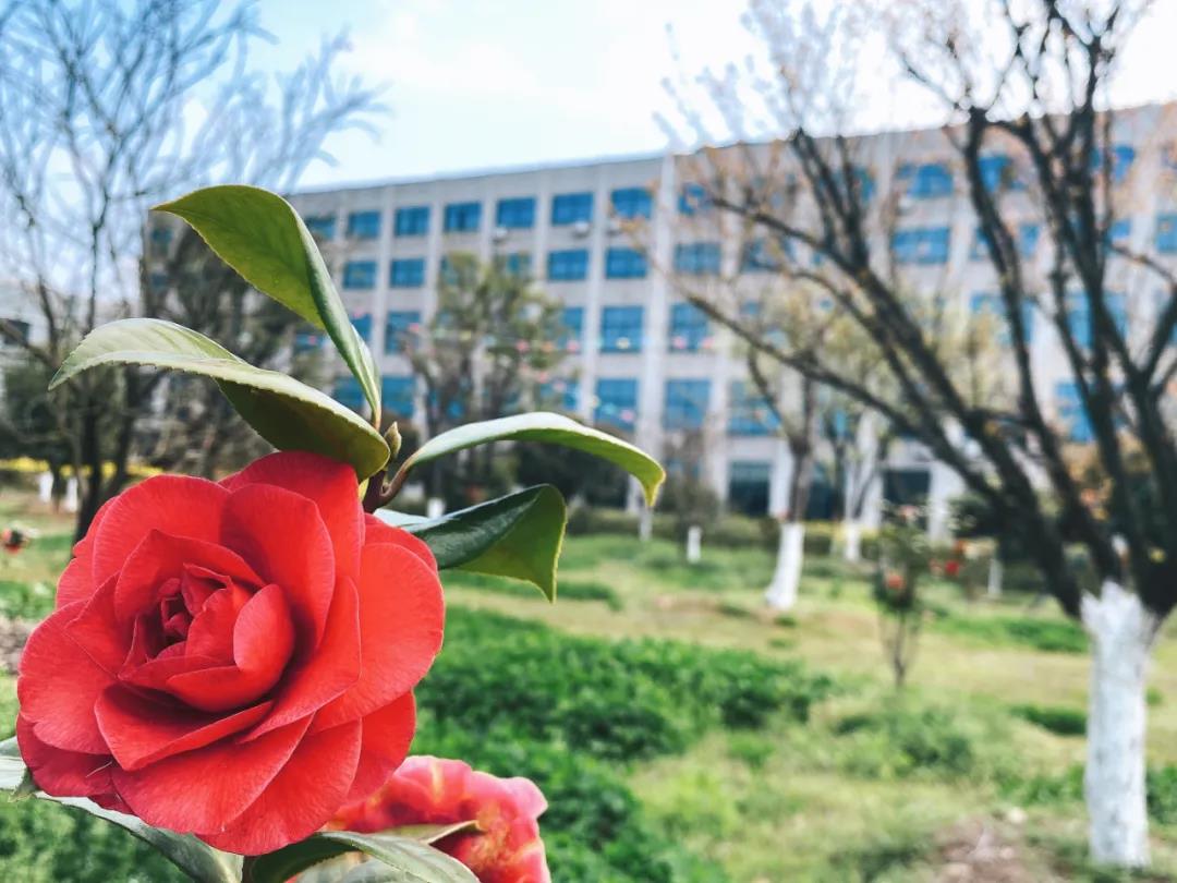 風(fēng)景這邊獨(dú)好！東大環(huán)境美景一覽，請(qǐng)查收